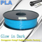 Glow In The Dark Filament Do Drukarki 3D PLA Filament 1.75mm / 3.0mm